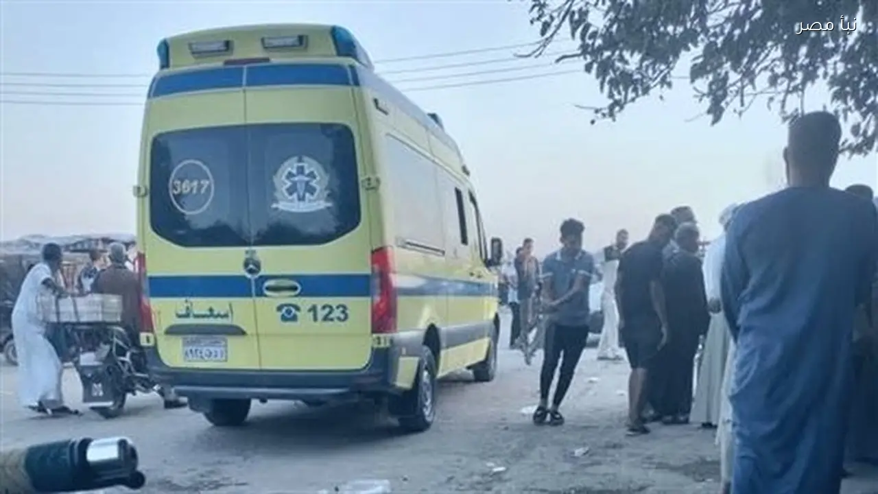 مصرع وإصابة خمسة أشخاص في حادث تصادم ميكروباص وسوزوكي على الطريق الإقليمي بالمنوفية