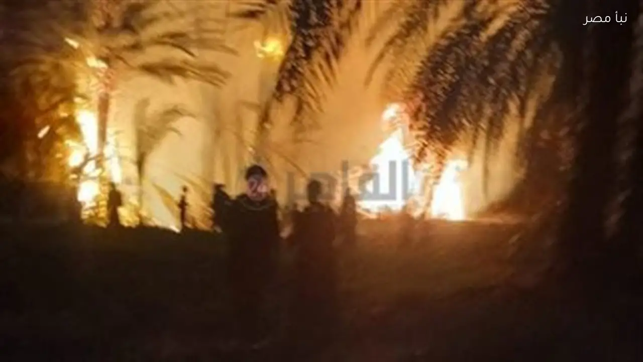 الحماية المدنية تنجح في إخماد حريق في مزارع النخيل بإسنا