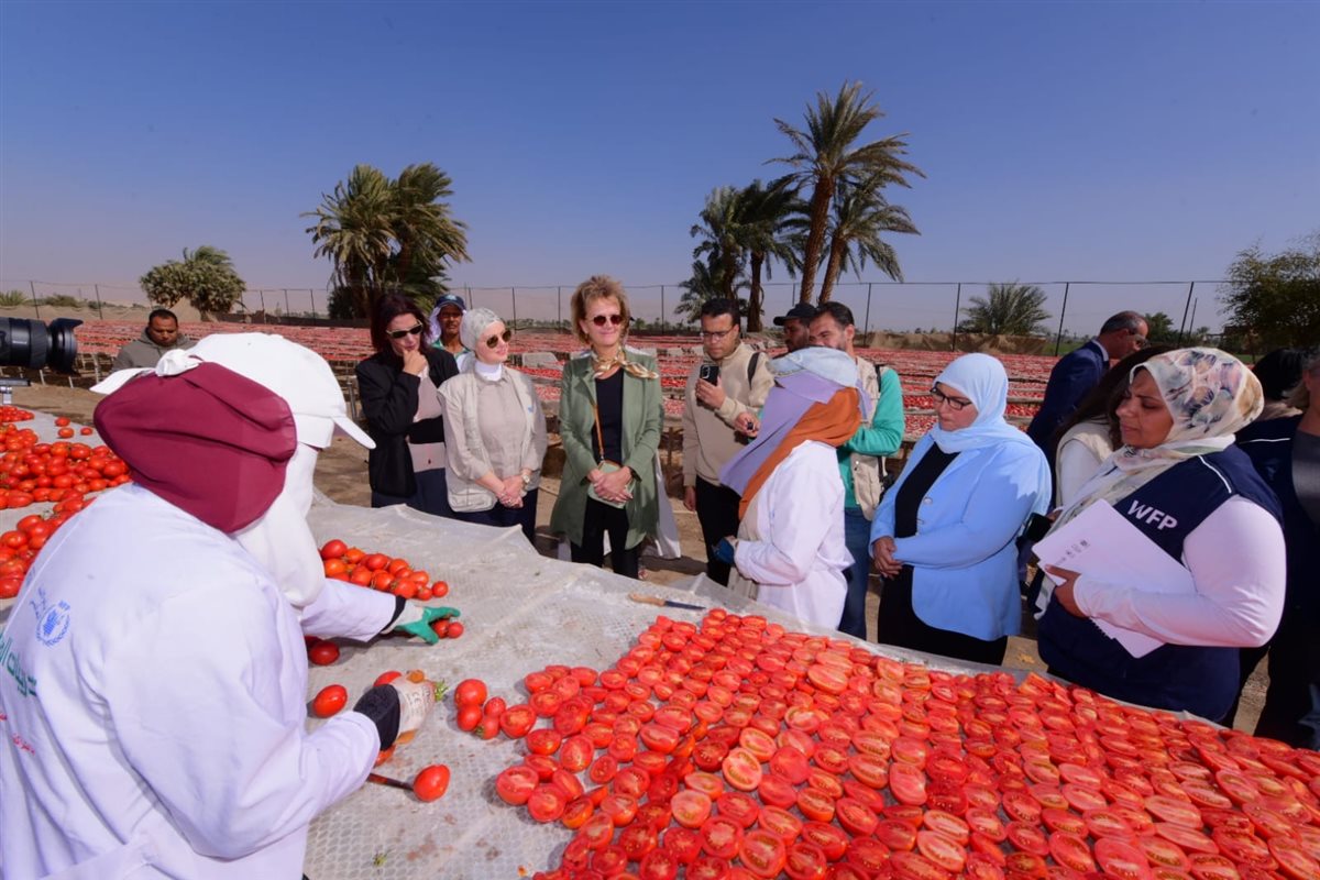 سفيرة الاتحاد الأوروبي ومديرة الغذاء العالمى بتجفيف الطماطم 