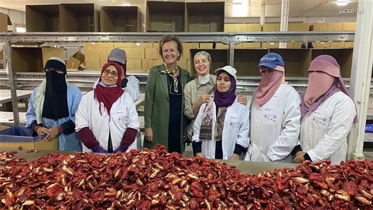 سفيرة الاتحاد الأوروبي تتابع المراحل النهائية لمشروع تجفيف الطماطم في إسنا قبل انطلاقه إلى الأسواق الأوروبية