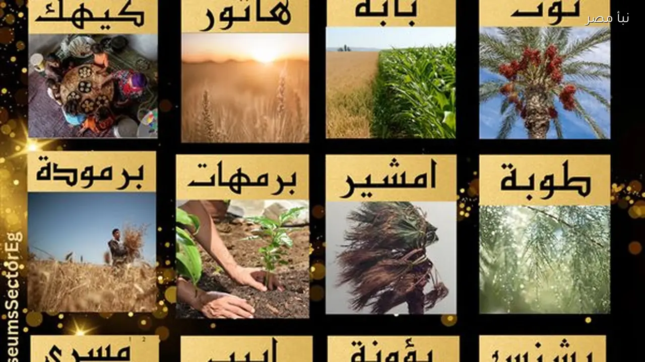 زعابيب أمشير تقترب والتاريخ القبطي اليوم يحدد موعد نهاية شهر طوبة