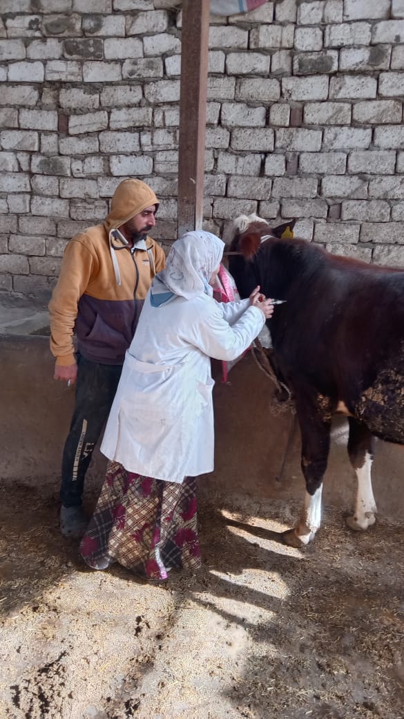 مصنعات ومقطعات اللحوم وهياكل الدواجن الفاسدة