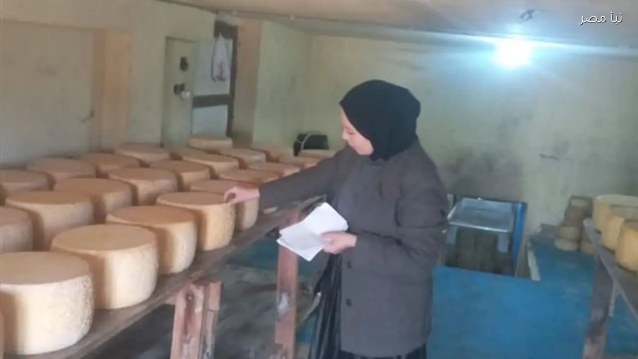 ضبط ثلاث أطنان من الجبن الرومي والملح والمكرونة مجهولة المصدر في محافظة الدقهلية