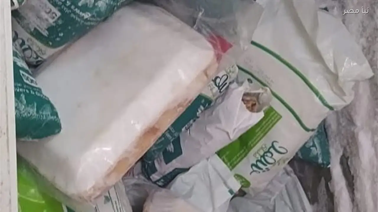 ضبط سلع غذائية منتهية الصلاحية ومخازن غير مرخصة في حملة تموينية بمدينة إسنا