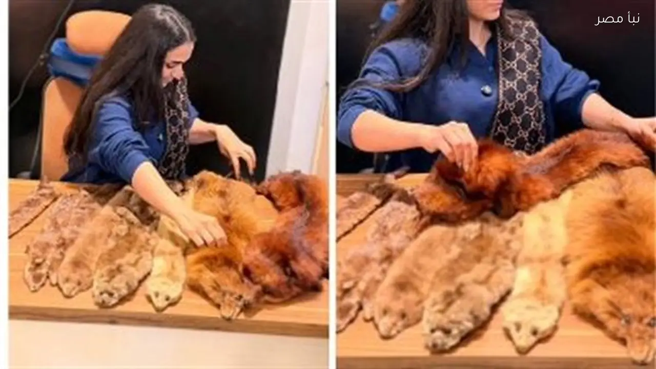 هجوم على متجر ملابس في المنيا بسبب بيع فرو حيوانات وصاحبة المحل تنفي علمها بالموضوع وترفض الإيذاء