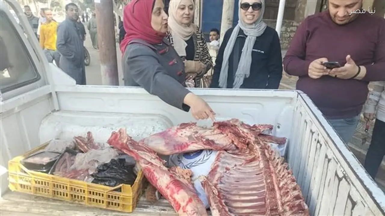 ضبط لحوم خيل وسلع غذائية غير صالحة للاستهلاك الآدمي في حملة ببني سويف قبيل شهر رمضان