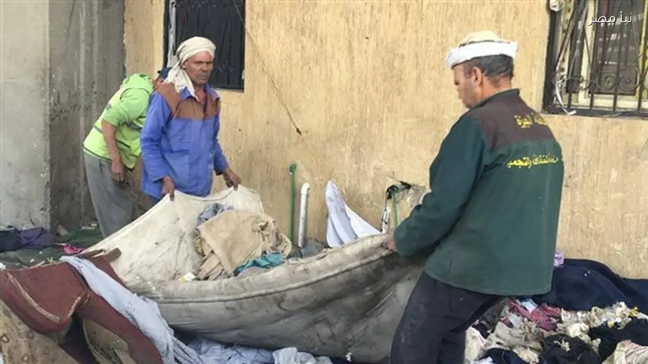 حملات مكثفة في محافظة الجيزة للقضاء على بؤر تجمع الفريزة وإزالة مخلفاتهم بالعجوزة