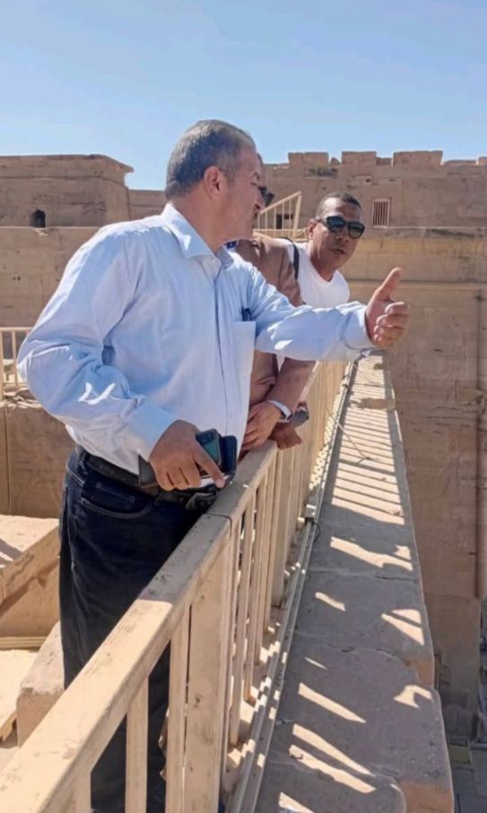 الدكتور هشام الليثي