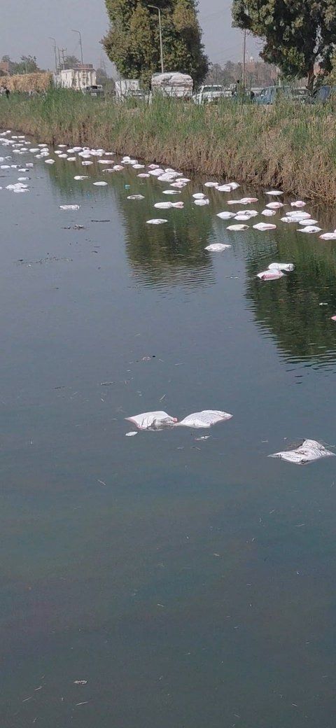 انقلاب مقطورة محملة بكميات كبيرة من الدقيق في الترعة