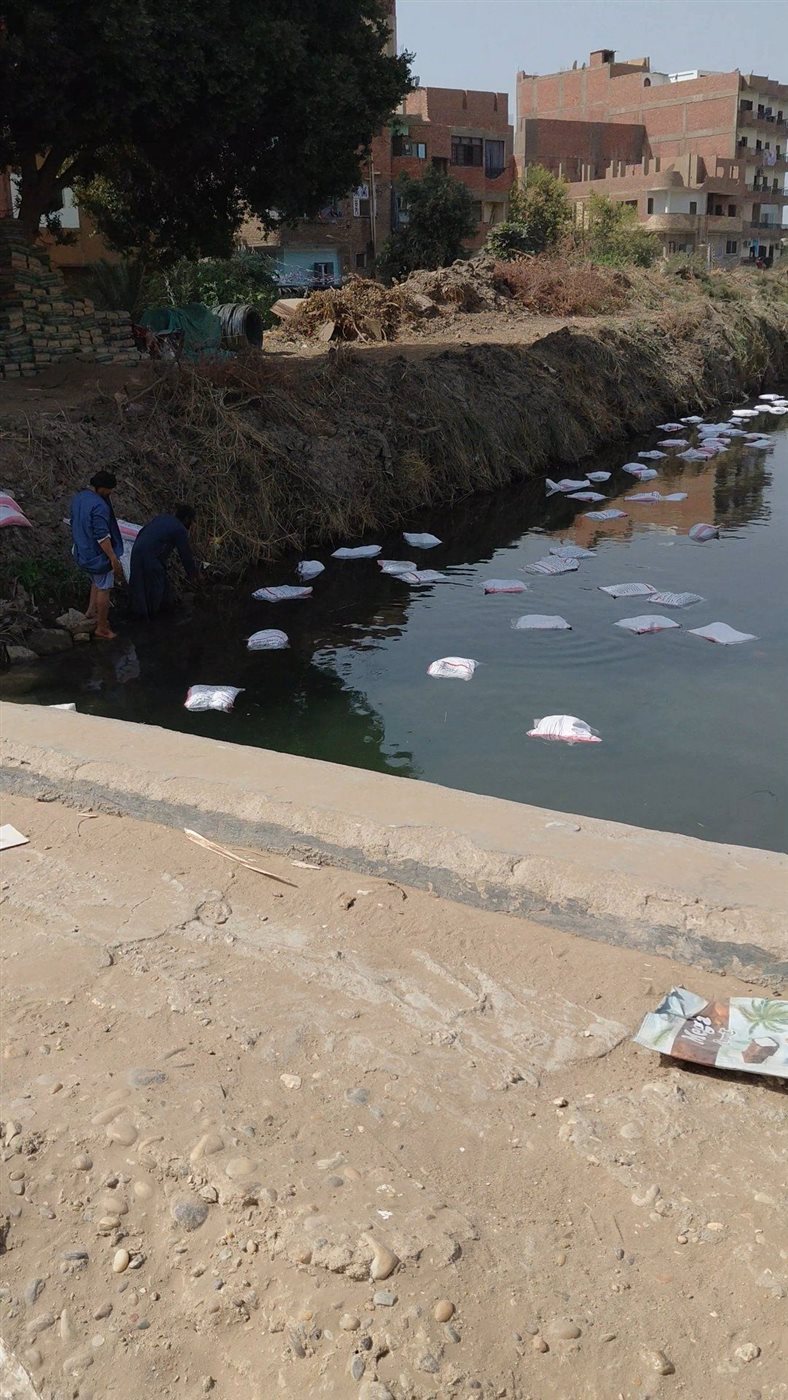 انقلاب مقطورة محملة بكميات كبيرة من الدقيق في الترعة