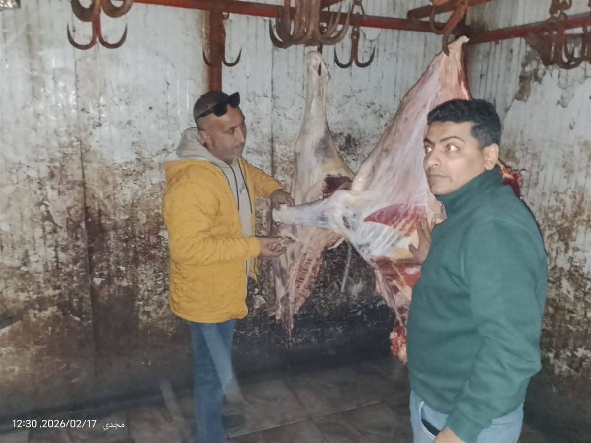 ضبط نصف طن لحوم غير صالحة للاستهلاك الآدمي بالمنوفية