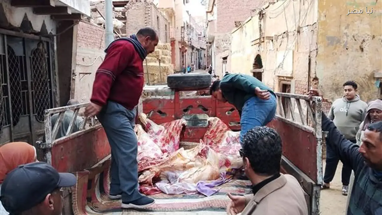ضبط نصف طن من اللحوم غير الصالحة للاستهلاك الآدمي في المنوفية قبل شهر رمضان