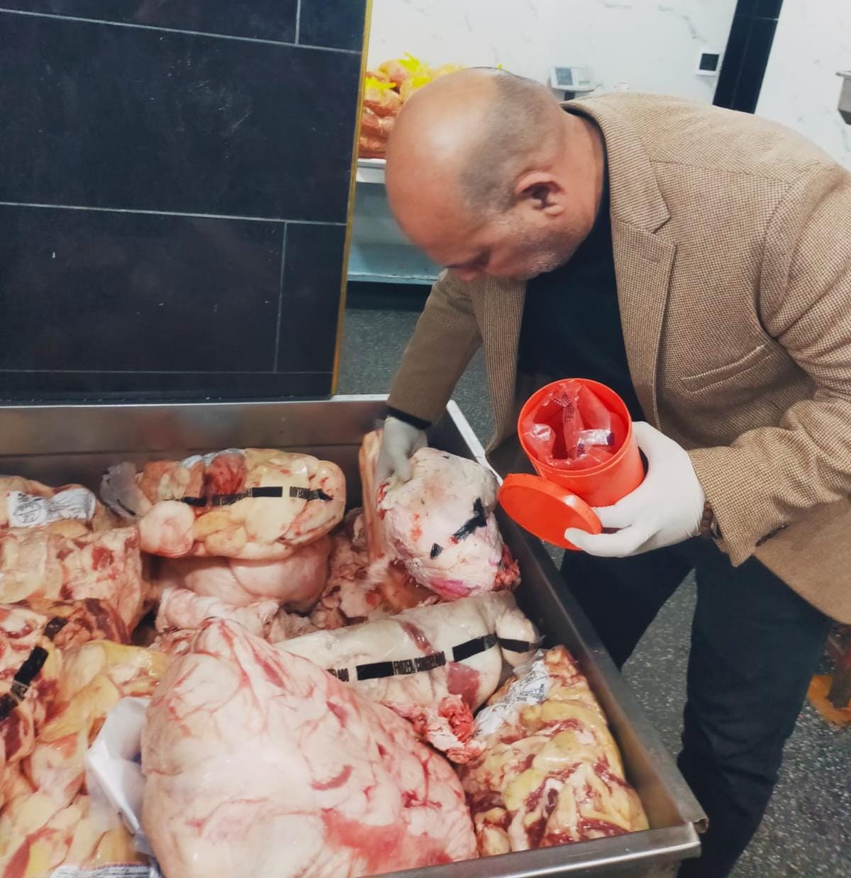 خلال الحملة