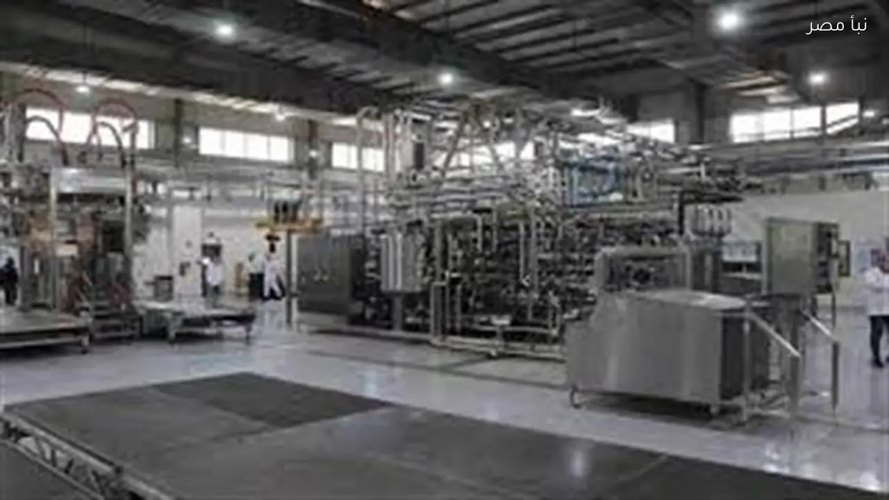 المنوفية تعزز مكانتها كأحد أهم المراكز الصناعية في دلتا مصر