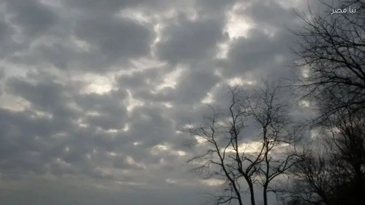 حالة الطقس المتوقعة من الأربعاء 25 فبراير إلى الأحد 1 مارس 2026 تتضمن رمالا وأتربة