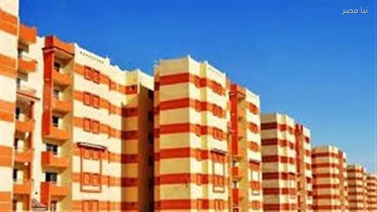 مشروعات متنوعة في السويس الجديدة 2026 تلبي احتياجات جميع الشرائح الاجتماعية