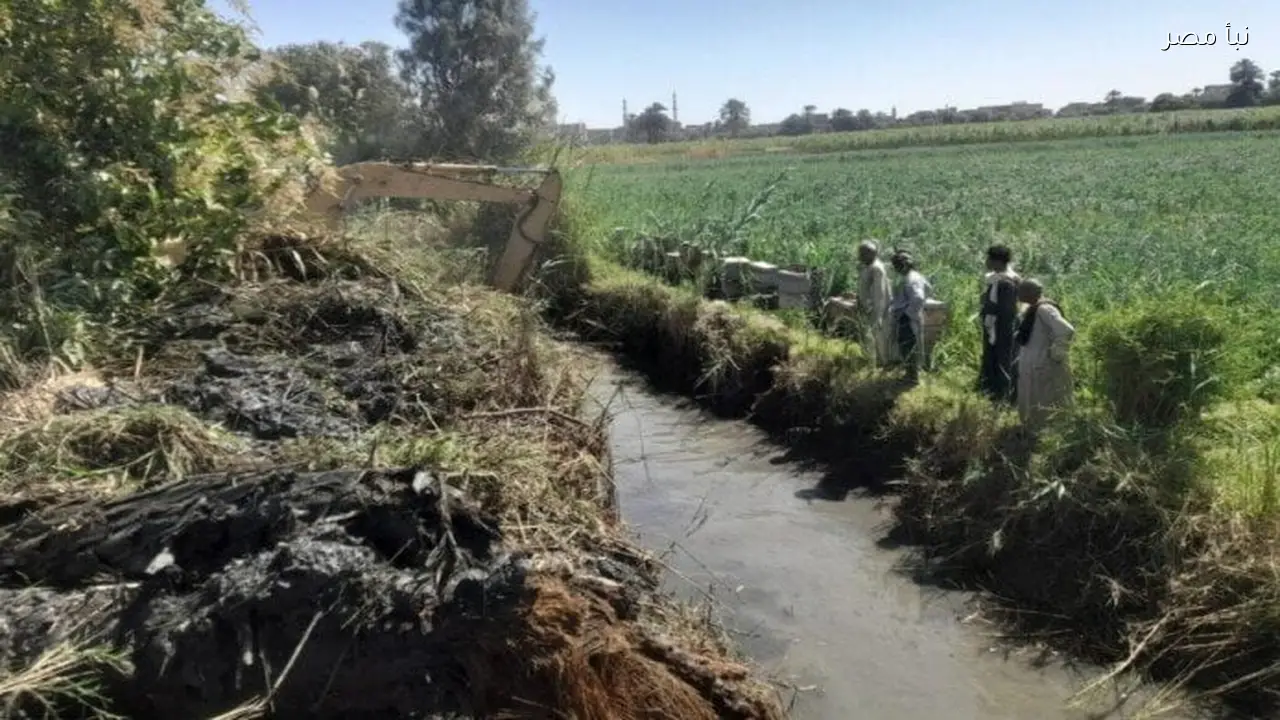 الزراعة تعزز جهود تطهير المساقي في الأقصر مع بداية موسم كسر القصب
