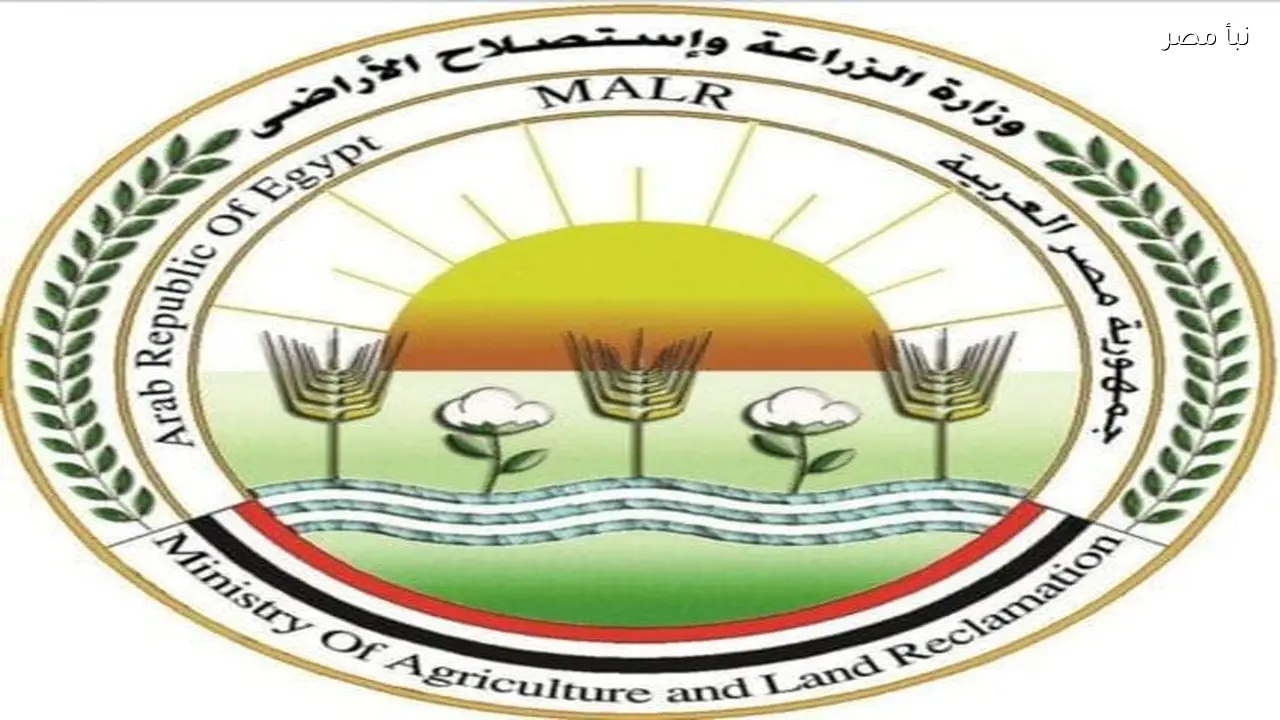 الزراعة تقدم خدمات مجانية ودعما فنيا لمربي الدواجن لتعزيز كفاءة الإنتاج