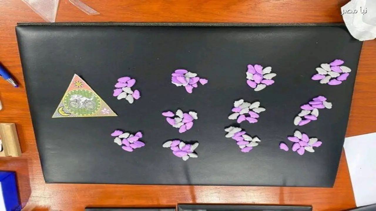 ضبط ثلاث محاولات لتهريب مواد مخدرة في مطار القاهرة الدولي