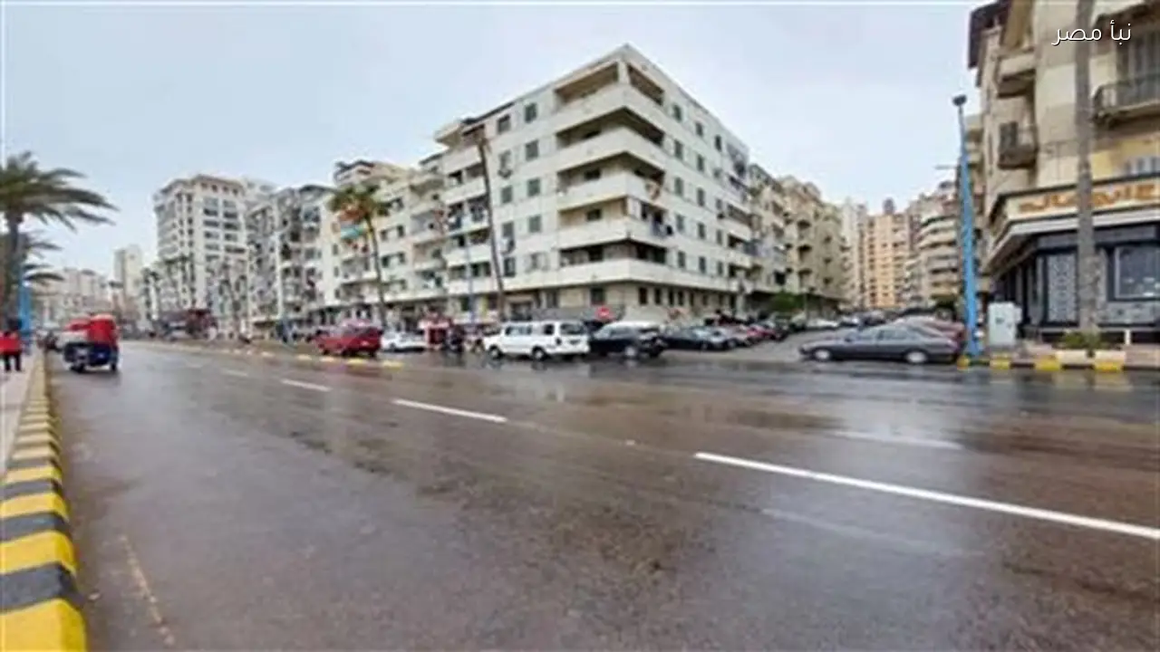 أجواء شتوية باردة ورياح مع توقعات بسقوط أمطار على الإسكندرية قريبًا