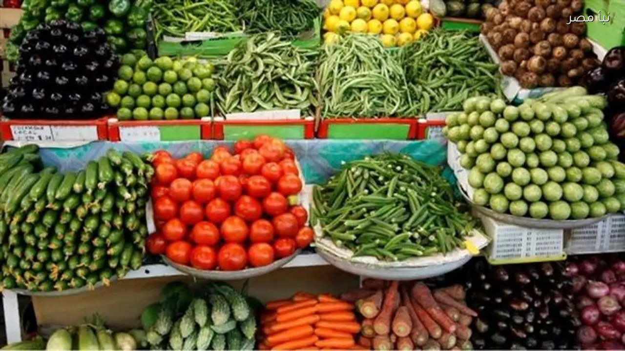أسعار الخضراوات في أسواق المنيا تتراجع اليوم الجمعة وتوقعات بتحسن في الأيام المقبلة