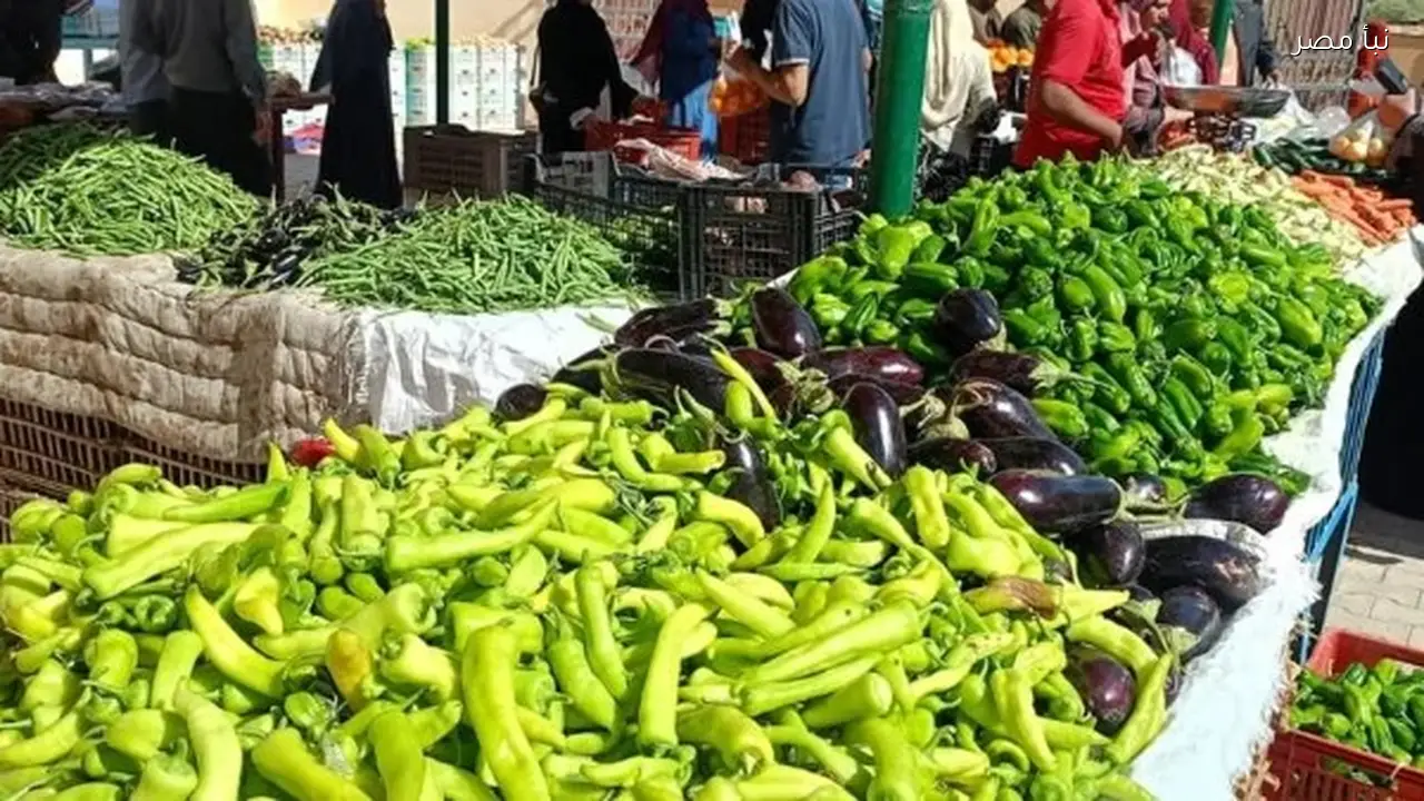 أسعار الخضروات والفاكهة في أسواق الوادي الجديد تتصدر اهتمامات المواطنين