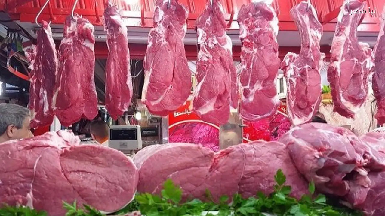 أسعار الدواجن واللحوم والأسماك اليوم في أسواق البحيرة تسجل استقرارا ملحوظا