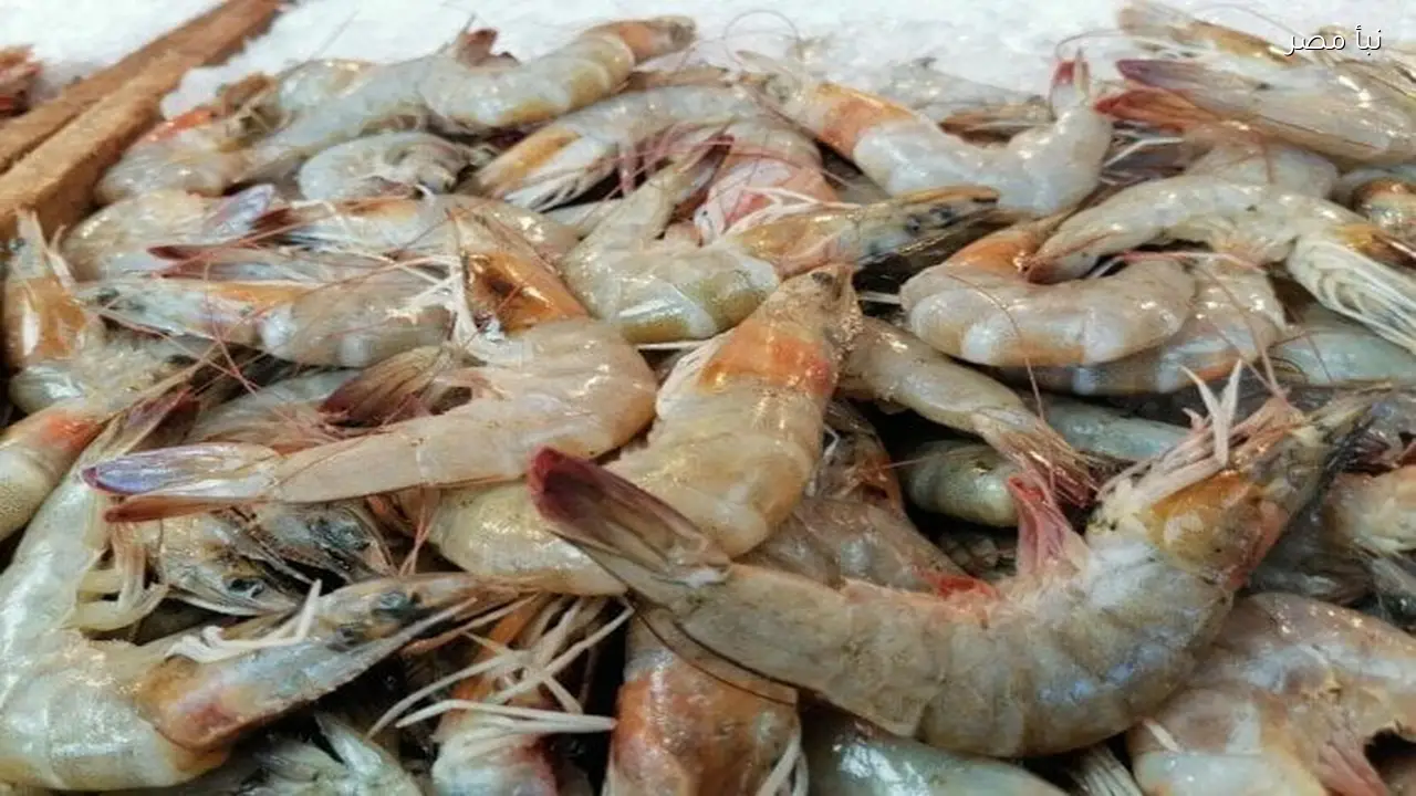 أسعار السمك للمستهلك في ثالث أيام رمضان السبت 21 فبراير 2026