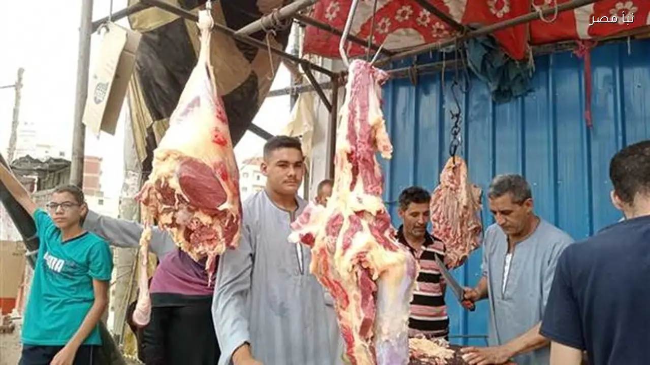أسعار اللحوم تشهد تباينًا نسبيًا اليوم في المنيا خلال ثاني أيام رمضان