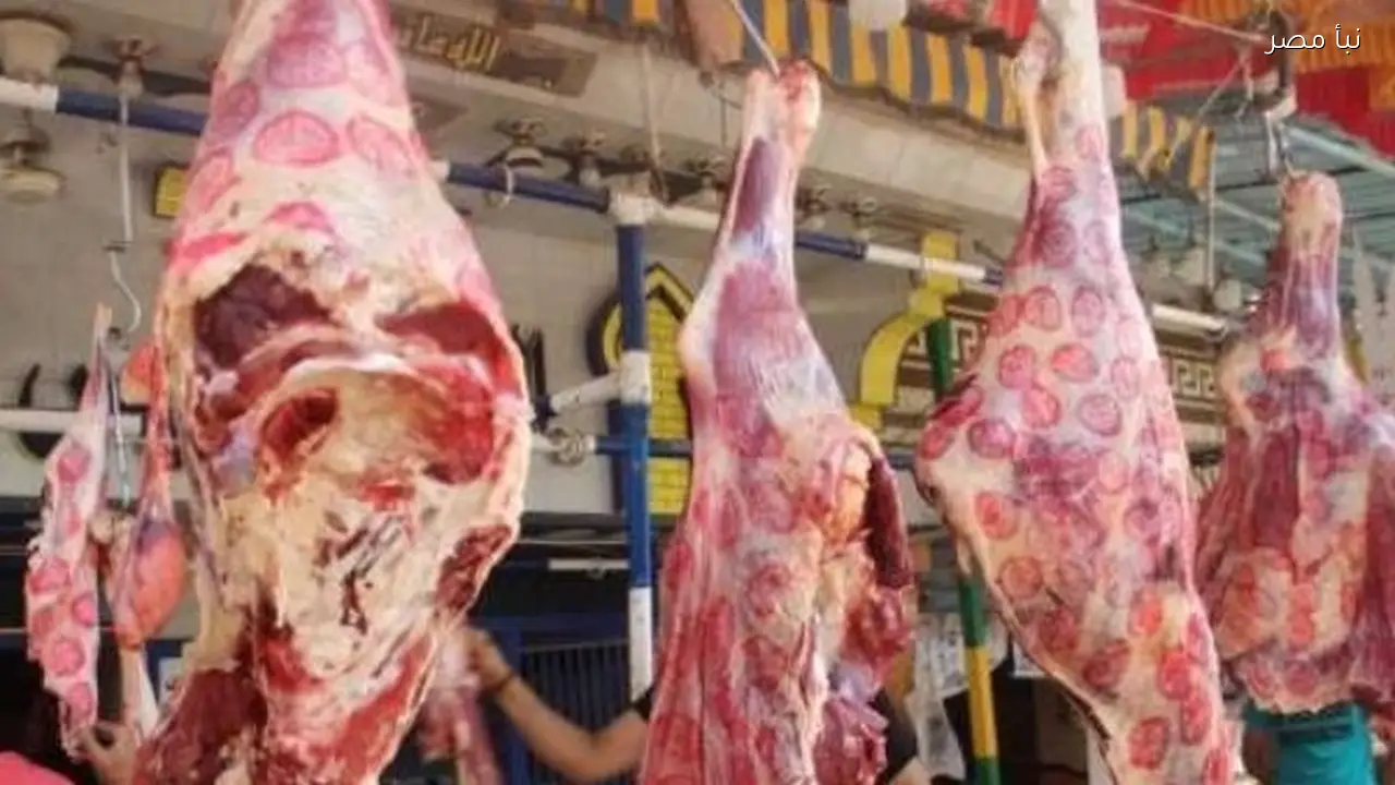 أسعار اللحوم في أول أيام شهر رمضان الكريم تتصدرها البتلو بـ415 جنيها