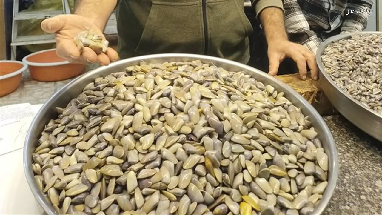 أم الخلول وجبة رمضانية مميزة لأهالي البحيرة بطعم فريد وقيمة غذائية مرتفعة