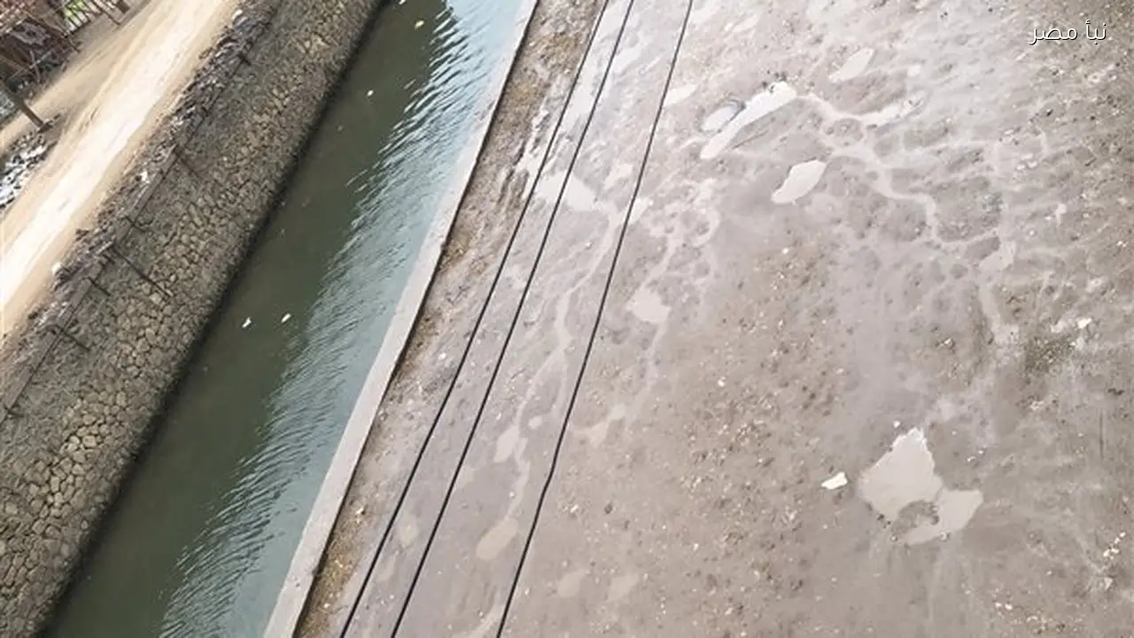 أمطار خفيفة تسقط على بعض مناطق محافظة الشرقية في خامس أيام رمضان