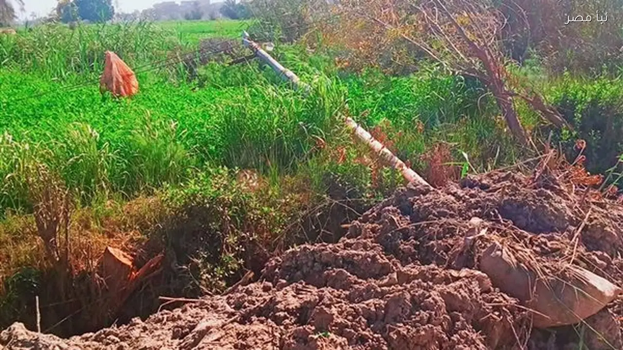 أهالي عزبة سنكر بالفيوم يحذرون من خطر أعمدة إنارة متساقطة على الأرض