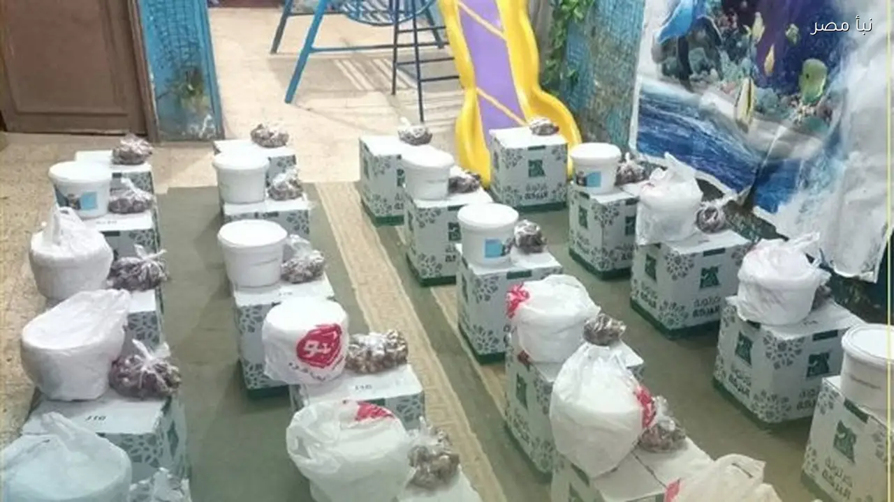 أوقاف الشرقية تقدم مساعدات رمضانية للأسر المحتاجة من خلال توزيع كراتين غذائية