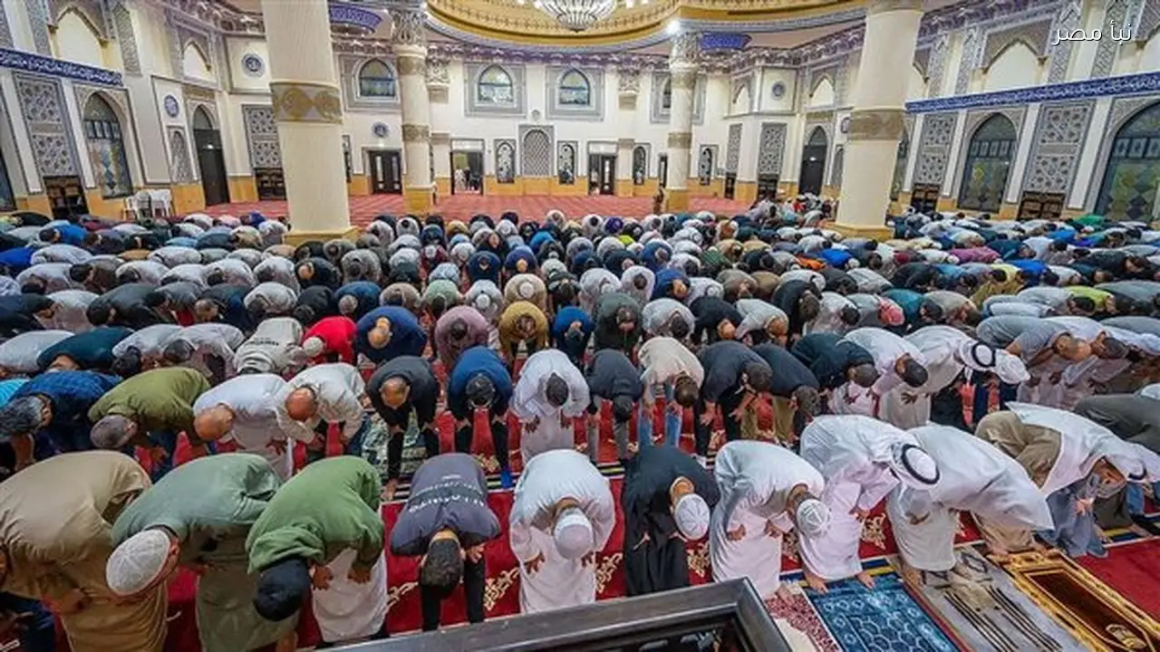 أوقاف الغربية تطلق خطة دعوية شاملة لاستقبال رمضان بفتح 597 مسجدًا للتهجد و497 للاعتكاف