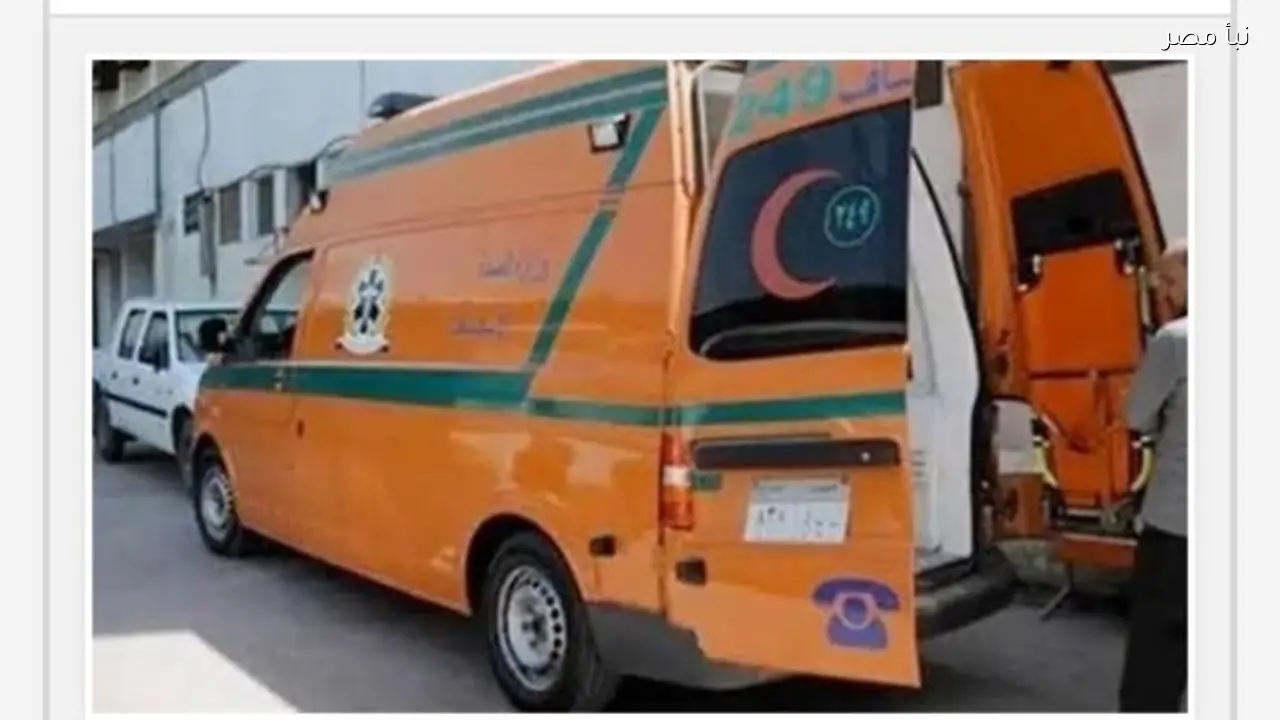 إصابة أربعة أشخاص في حادث تصادم بين سيارة ومركبة كارو في طريق ميت الأكراد بالدقهلية