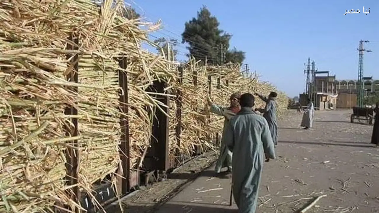 إصابة تلميذ ببتر في القدم إثر صدمه من قطار في قنا