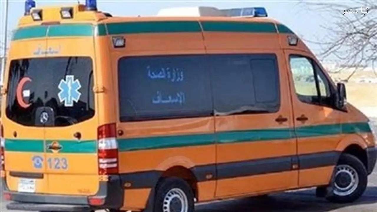 إصابة ثلاثة أشخاص بينهم طفل في مشاجرة بالأسلحة البيضاء بقرية الأحمدية في شربين