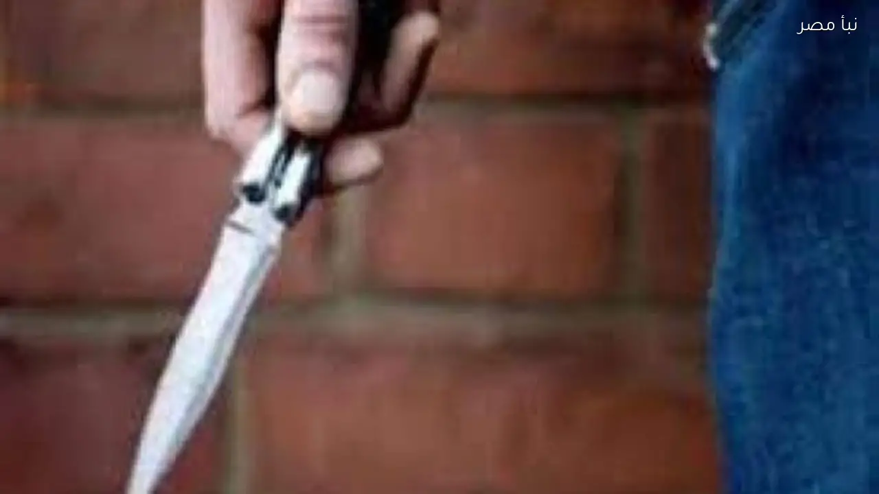 إصابة طالبين بطعنات خلال مشاجرة أمام مدرسة في الدقهلية