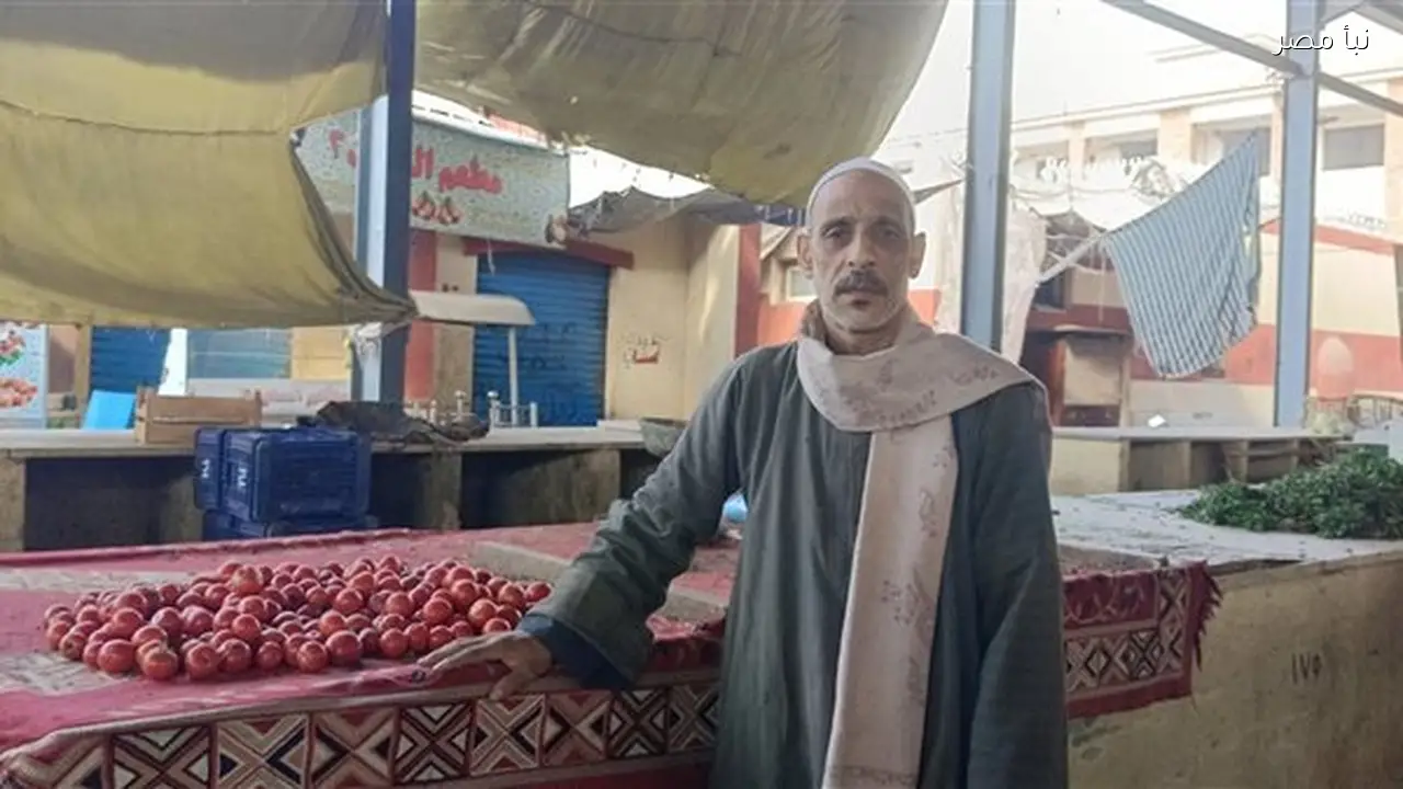 ارتفاع أسعار الطماطم إلى 20 جنيهًا في الإسماعيلية بسبب فاصل العروة وفقًا لرئيس التجزئة