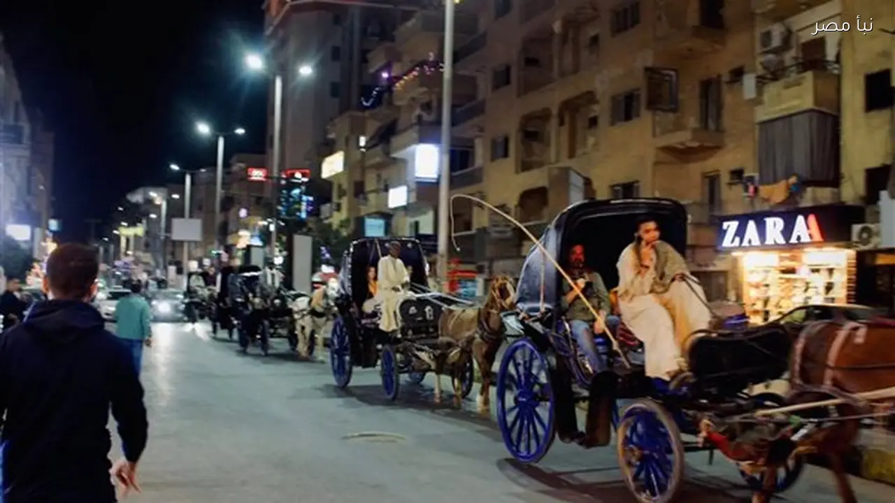 ارتفاع نسبة الرطوبة إلى 47% يسبب ارتباكًا في حالة الطقس بالأقصر