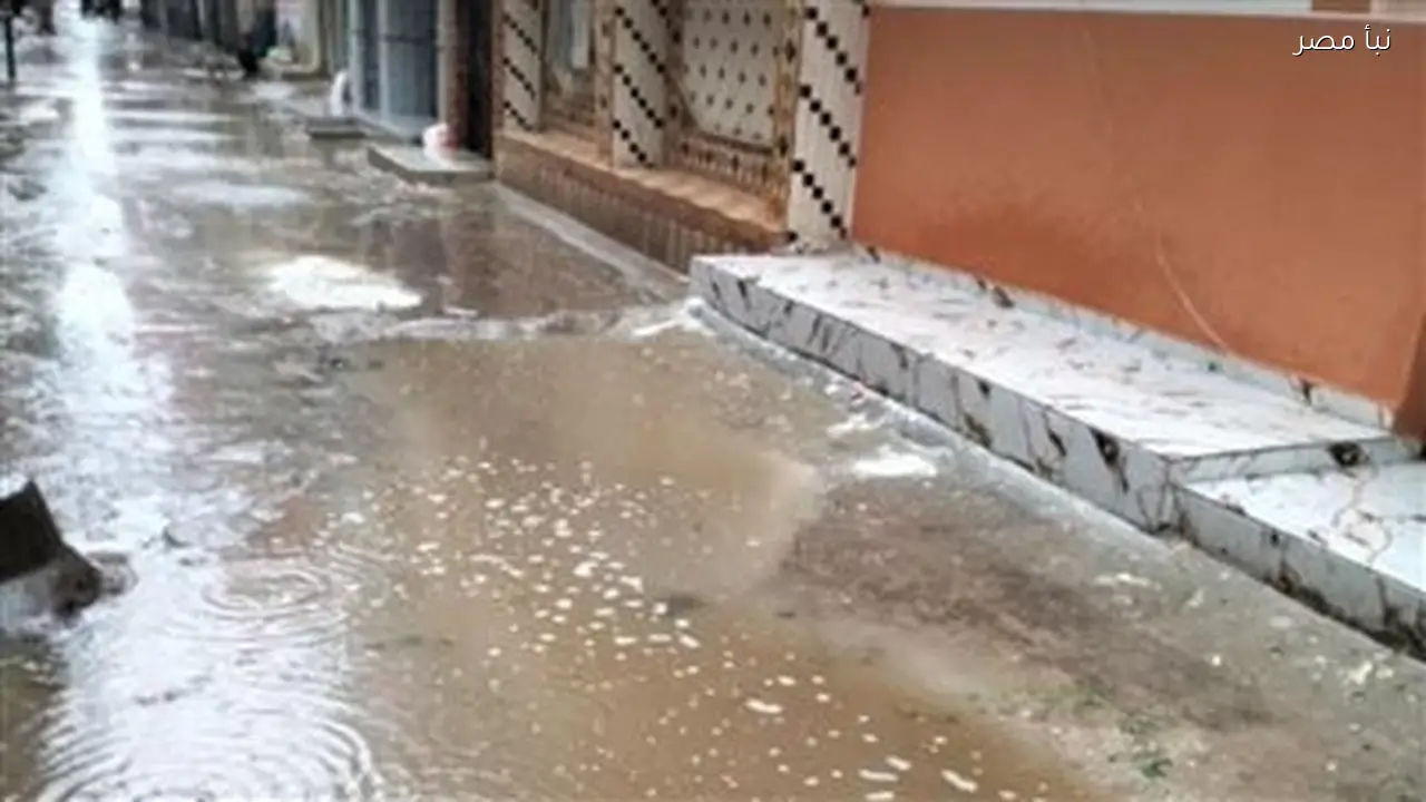 استعدادات مكثفة في البحيرة لمواجهة الأمطار والرياح خلال موجة الطقس غير المستقر