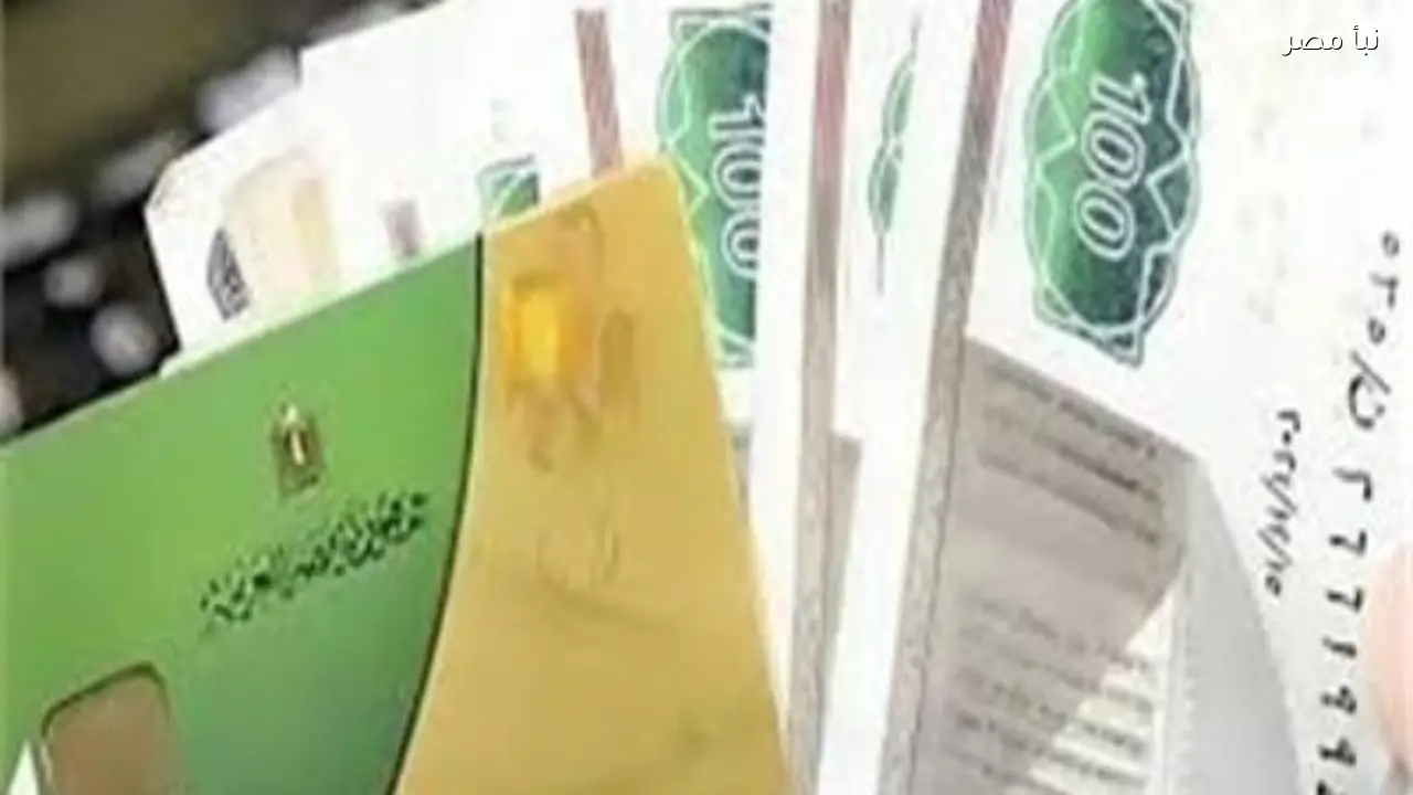 استعلم عن استحقاقك لمنحة التموين بالرقم القومي دون الحاجة لرسالة نصية