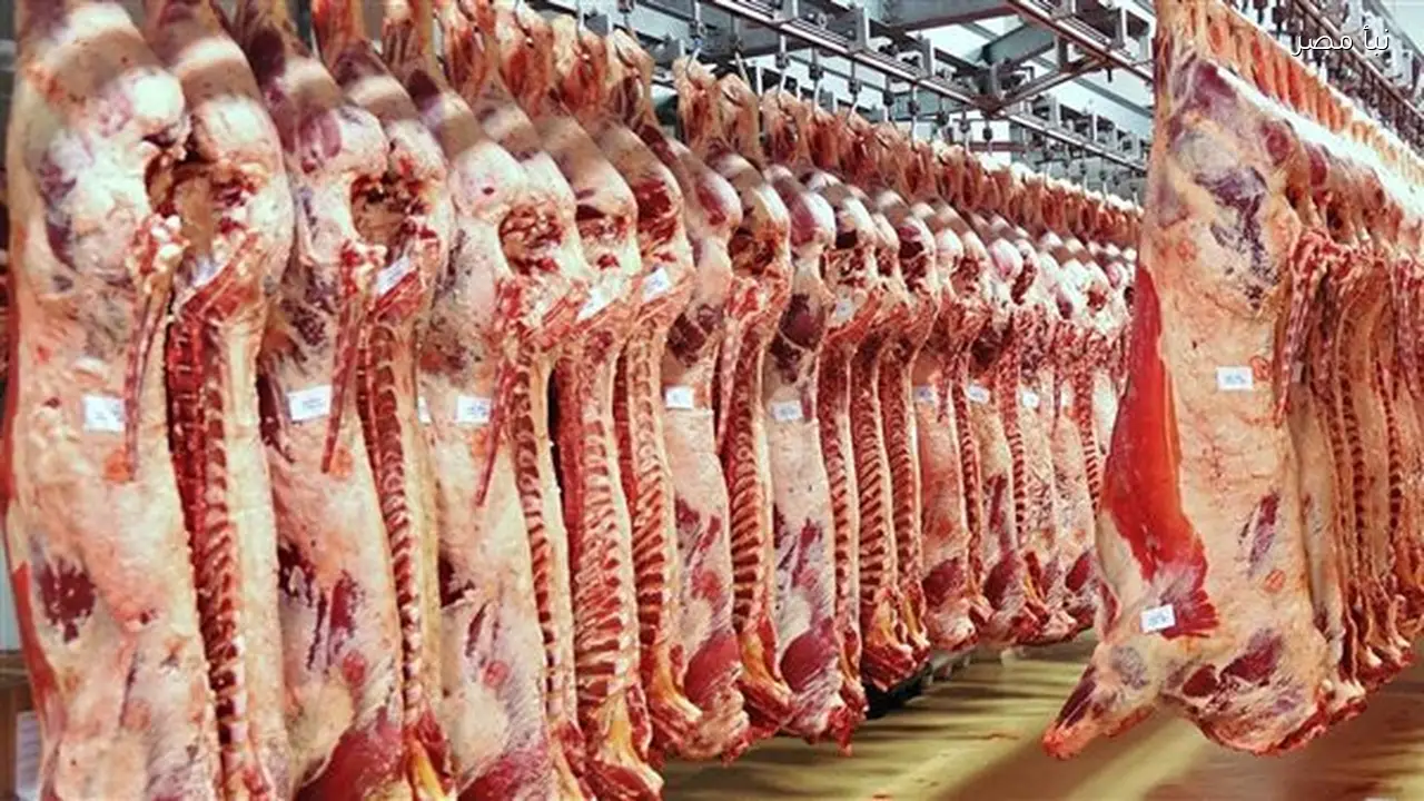 استقرار أسعار اللحوم في أسواق المنيا يعكس توازن العرض والطلب