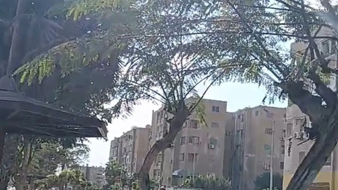 استقرار نسبي في طقس الإسماعيلية مع تحذيرات من انخفاض درجات الحرارة ليلاً