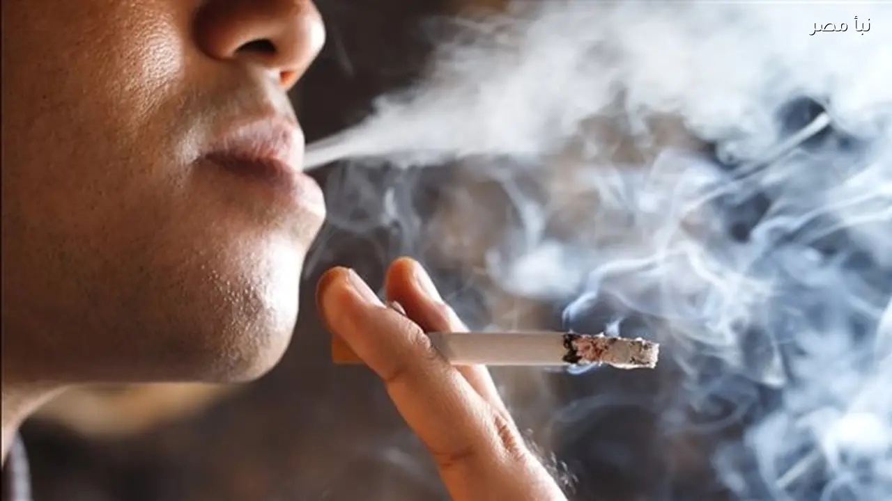 استمرار رصد مشاهد التدخين وتعاطي المخدرات في الأعمال الدرامية خلال شهر رمضان 2026