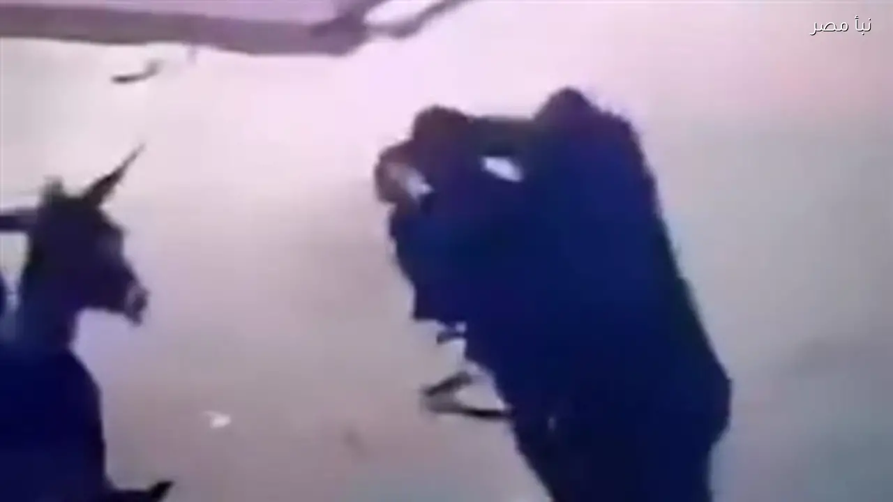 الأمن يتحقق من فيديو متداول يظهر اعتداء على مريض فشل كلوي في الشرقية