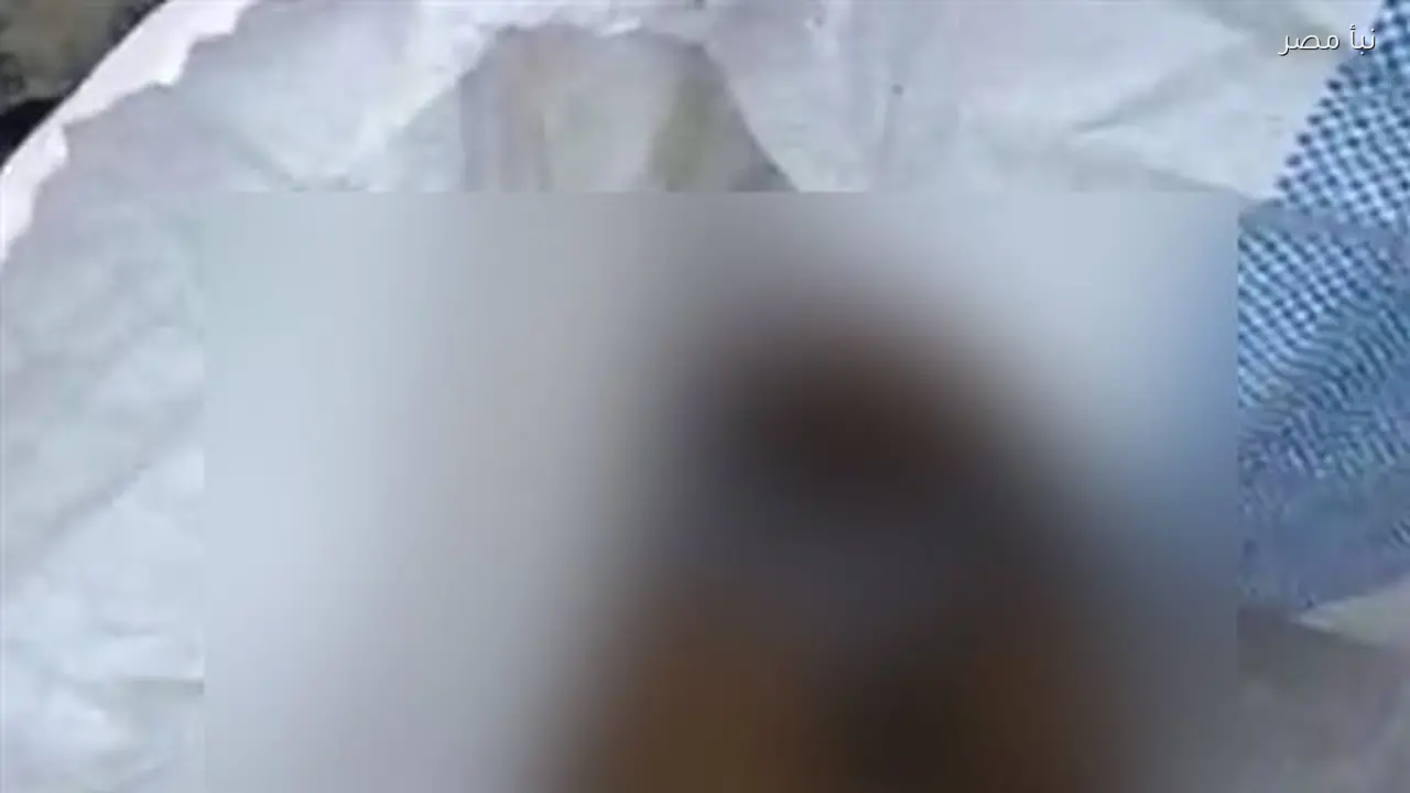 الأمن يكشف تفاصيل العثور على أجنة في صندوق قمامة بالمنيا بعد خروجها من عيادة طبية