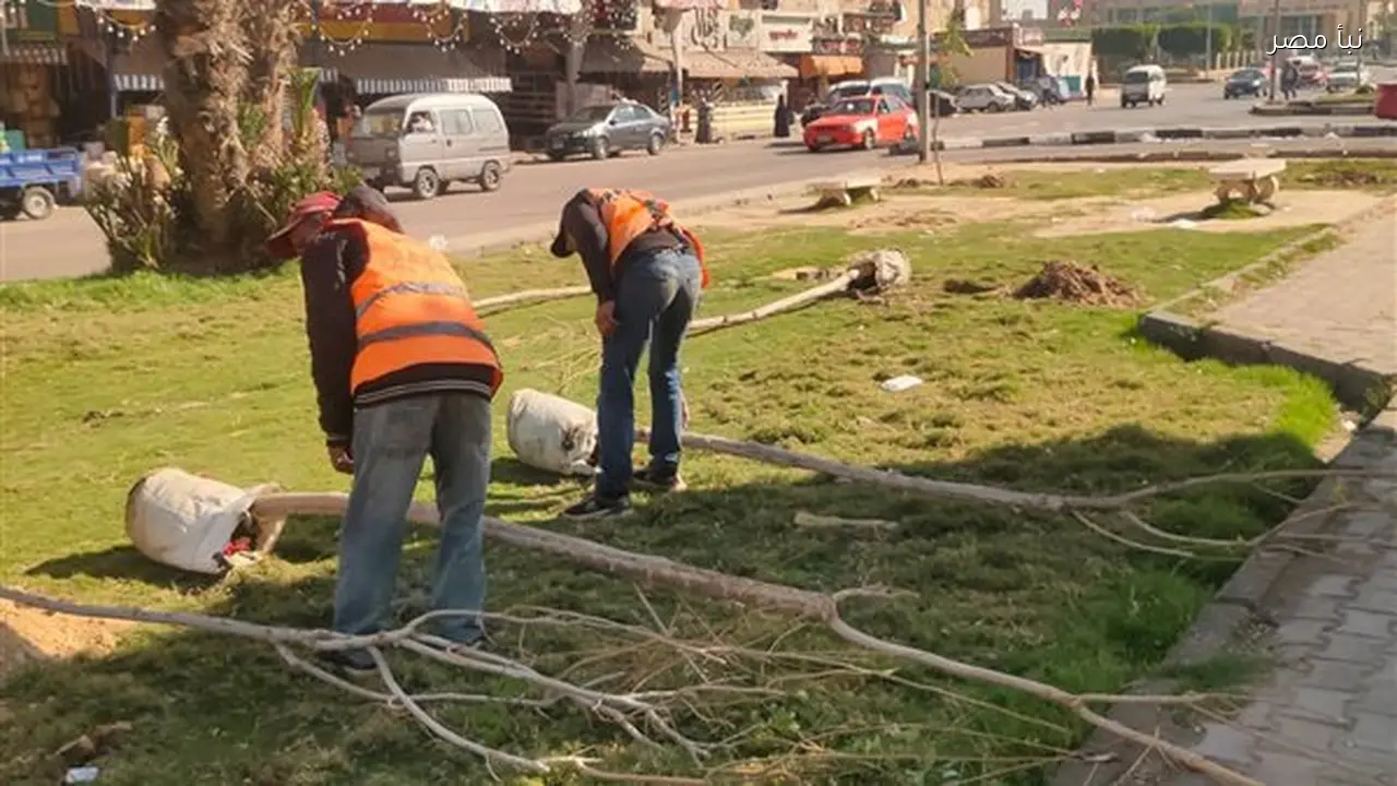 الإسماعيلية تستمر في مبادرة ازرع شجرة وجمل مدينتك لتعزيز البيئة والجمال الحضاري