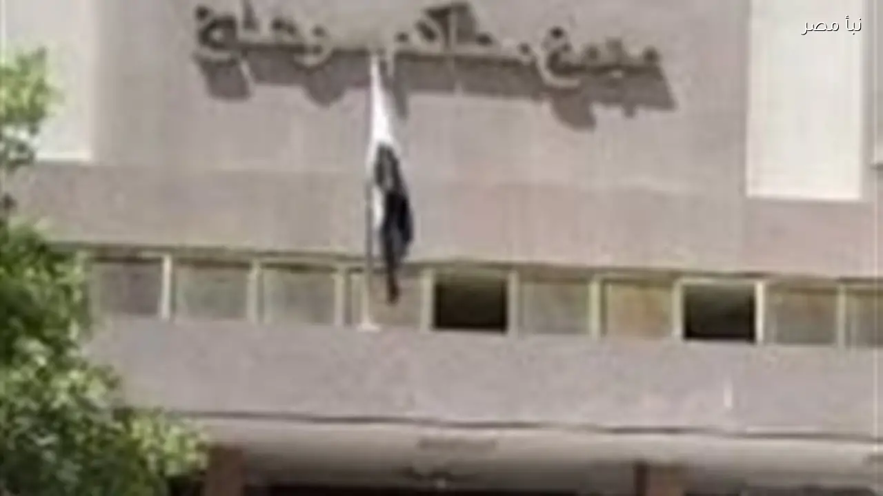 الإعدام لعامل والسجن لخمس آخرين في سوهاج بتهمة القتل